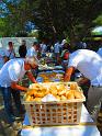 ELBA2019 (10)